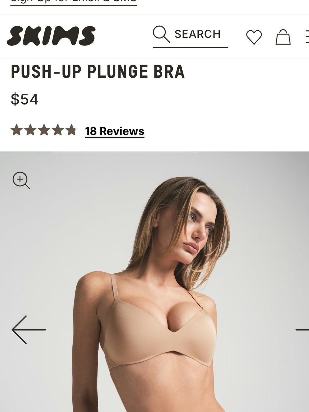Skims PUSH-UP PLUNGE BRA (2)